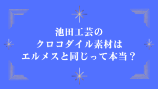 池田工芸のクロコダイル素材はエルメスと同じって本当？